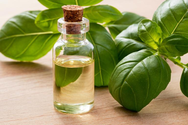 a bottle of basil oil surrounded by fresh herbs